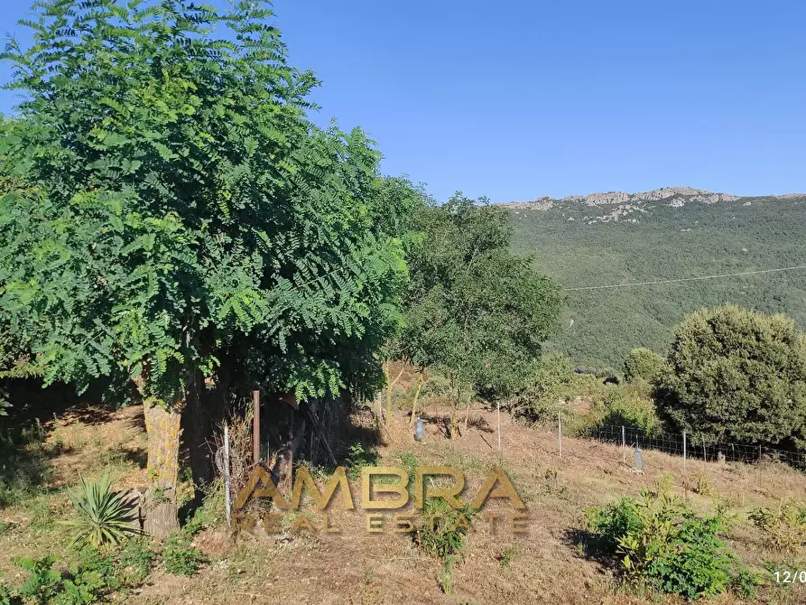 Immagine 25 di Rustico / casale in vendita  a Oschiri