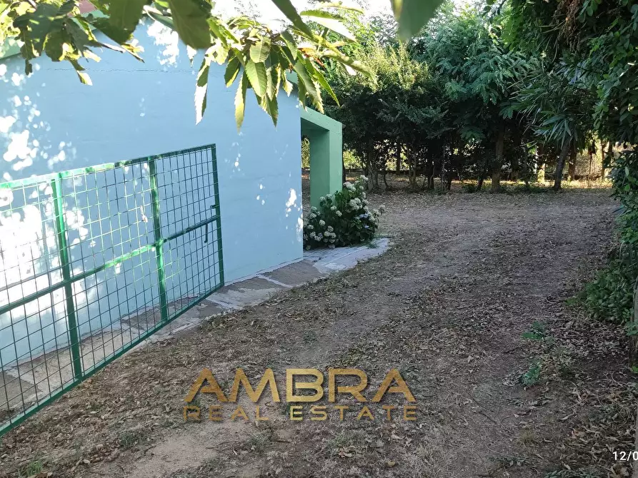 Immagine 15 di Rustico / casale in vendita  a Oschiri