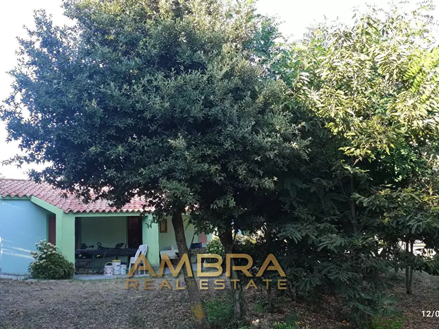 Immagine 18 di Rustico / casale in vendita  a Oschiri