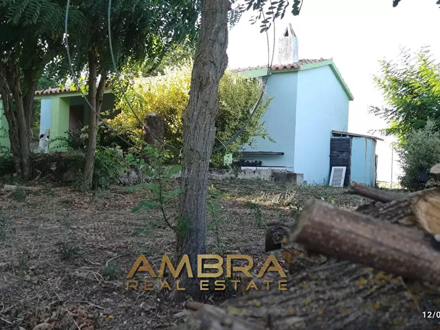 Immagine 16 di Rustico / casale in vendita  a Oschiri