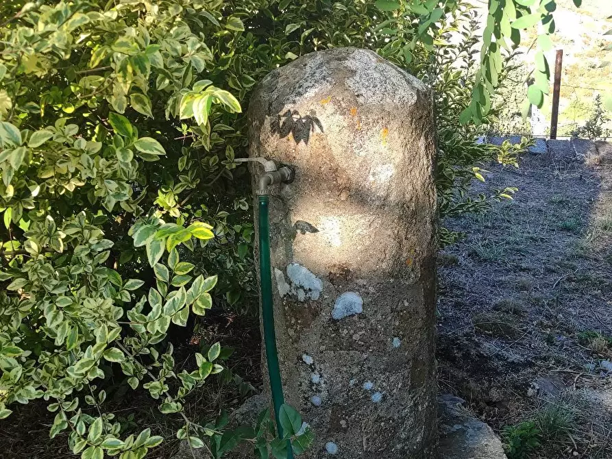 Immagine 19 di Rustico / casale in vendita  a Oschiri