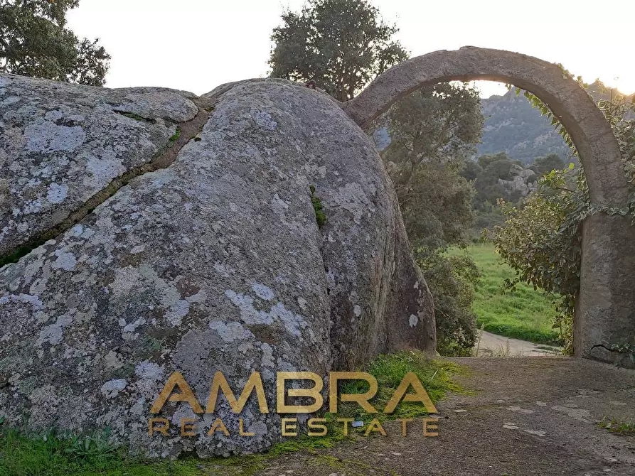 Immagine 7 di Locale commerciale in vendita  in Panoramica a Aggius