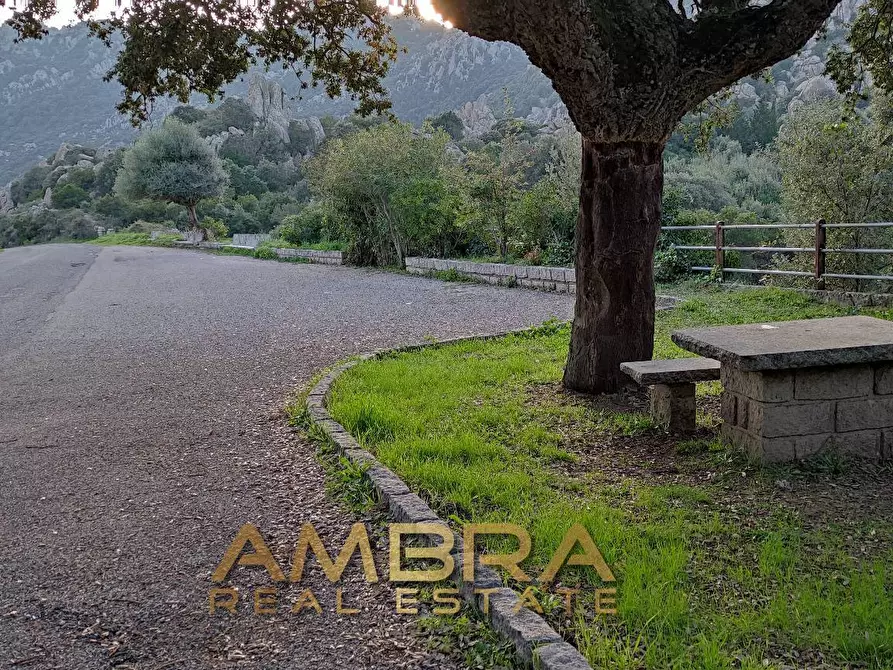 Immagine 9 di Locale commerciale in vendita  in Panoramica a Aggius