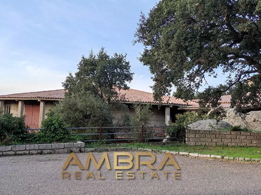 Immagine 10 di Locale commerciale in vendita  in Panoramica a Aggius