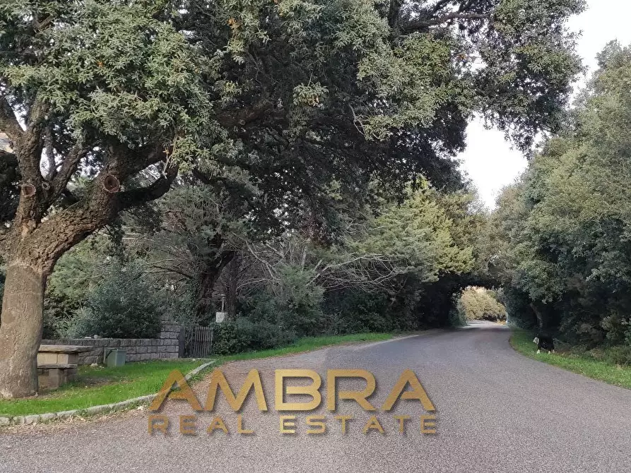 Immagine 11 di Locale commerciale in vendita  in Panoramica a Aggius