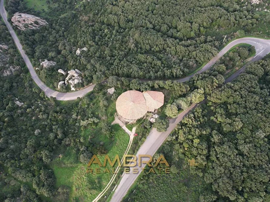 Immagine 8 di Locale commerciale in vendita  in Panoramica a Aggius