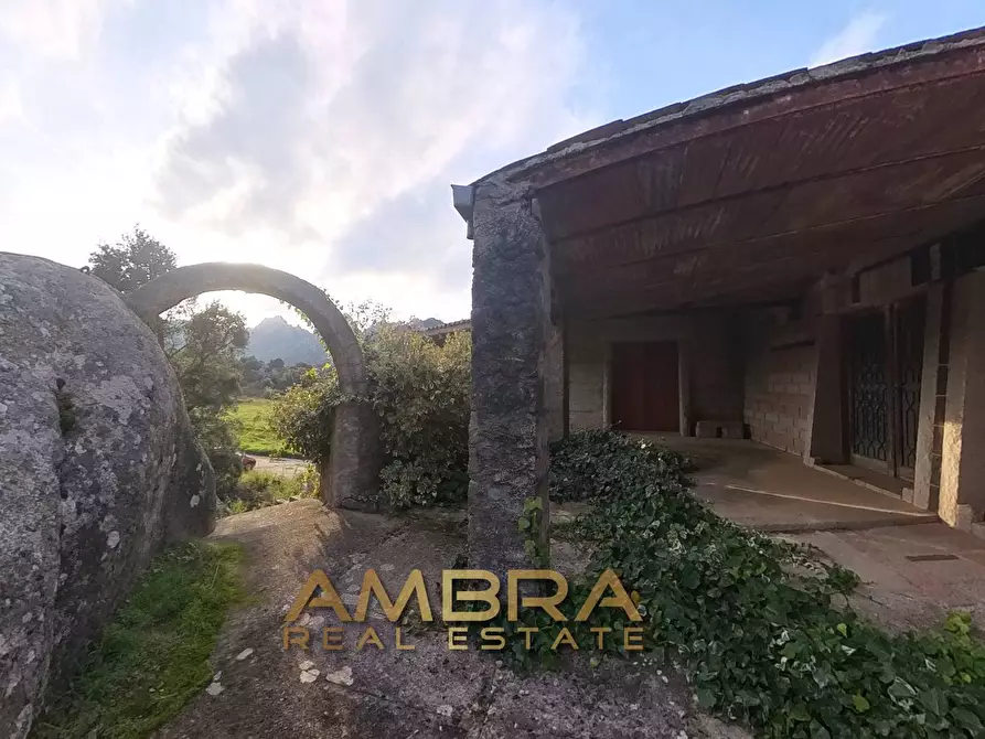 Immagine 17 di Locale commerciale in vendita  in Panoramica a Aggius