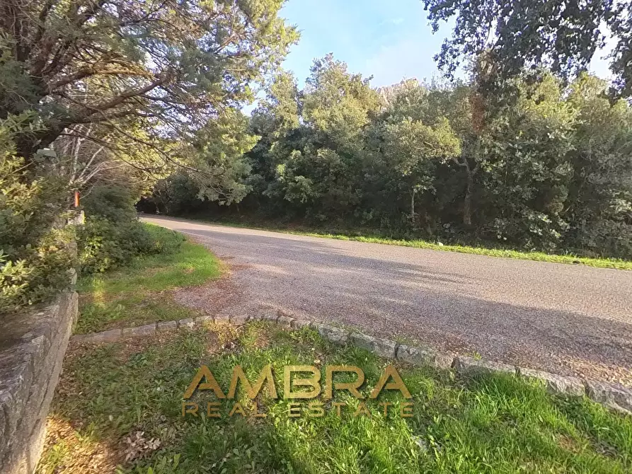 Immagine 21 di Locale commerciale in vendita  in Panoramica a Aggius