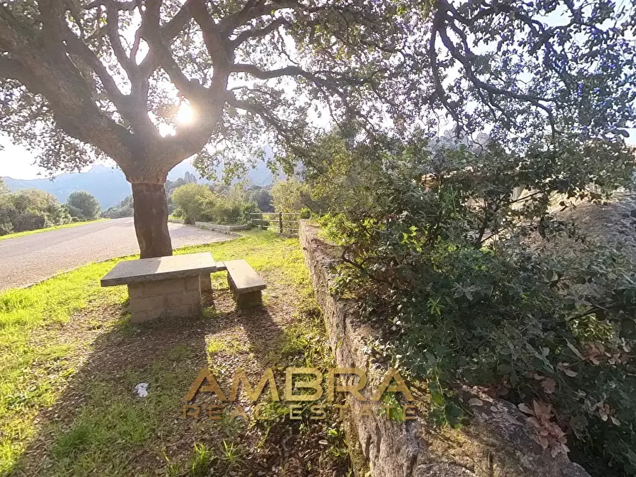 Immagine 22 di Locale commerciale in vendita  in Panoramica a Aggius