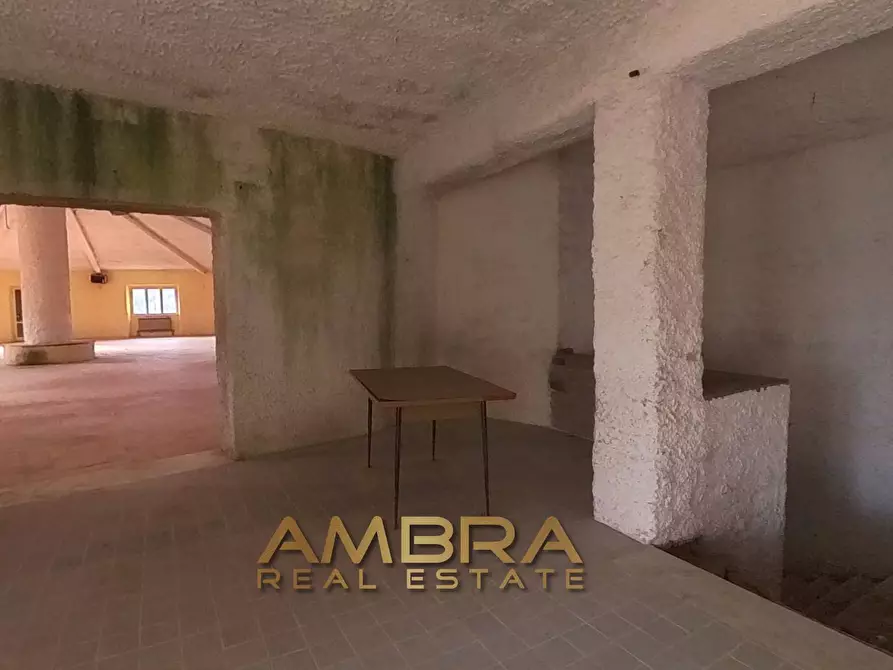 Immagine 29 di Locale commerciale in vendita  in Panoramica a Aggius