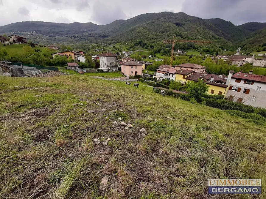 Immagine 4 di Terreno residenziale in vendita  in via Lunga a Albino