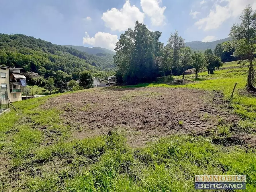 Immagine 5 di Terreno residenziale in vendita  in via S. Vincenzo a Pradalunga