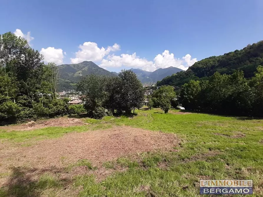 Immagine 6 di Terreno residenziale in vendita  in via S. Vincenzo a Pradalunga