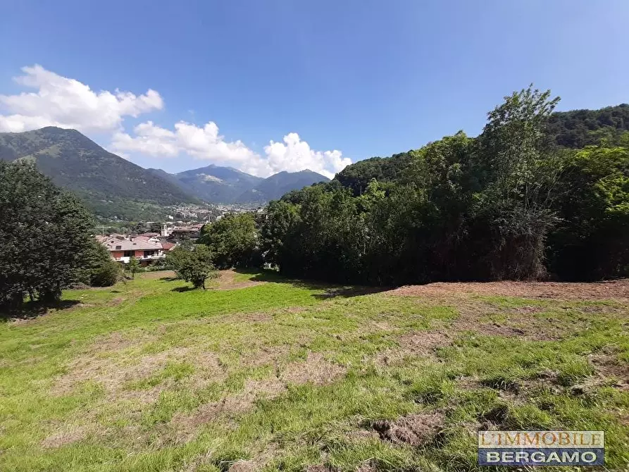 Immagine 8 di Terreno residenziale in vendita  in via S. Vincenzo a Pradalunga