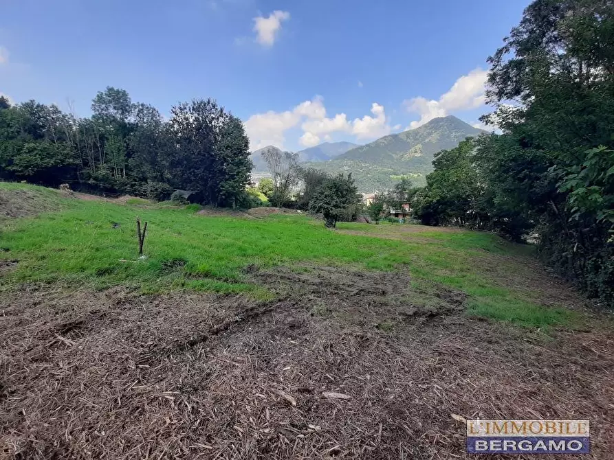 Immagine 9 di Terreno residenziale in vendita  in via S. Vincenzo a Pradalunga