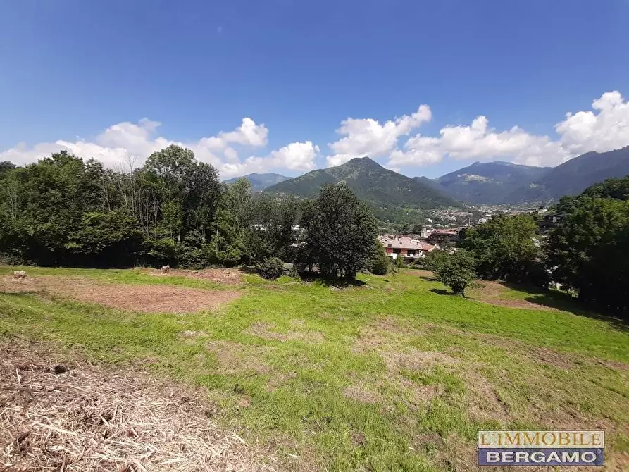 Immagine 10 di Terreno residenziale in vendita  in via S. Vincenzo a Pradalunga