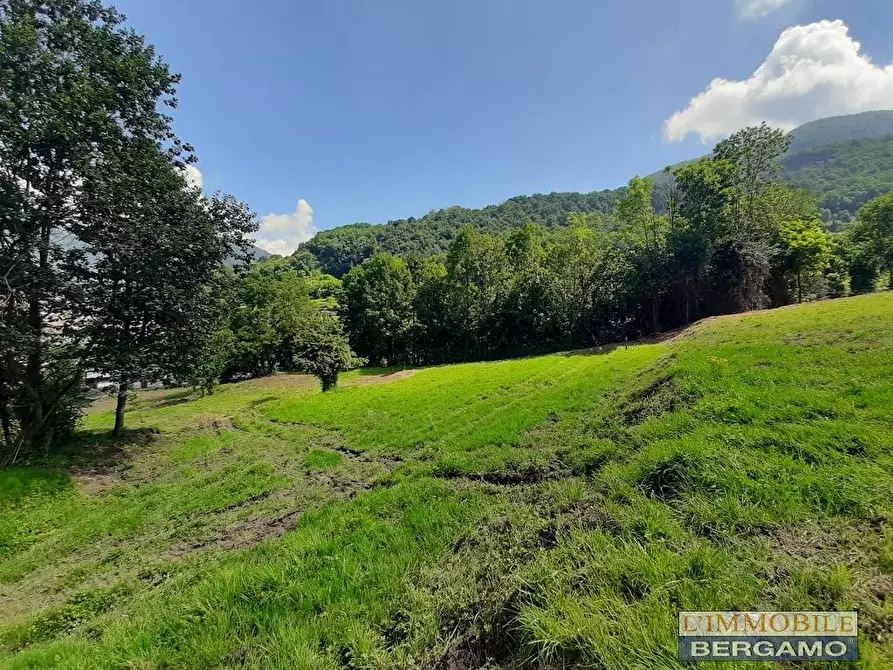 Immagine 11 di Terreno residenziale in vendita  in via S. Vincenzo a Pradalunga