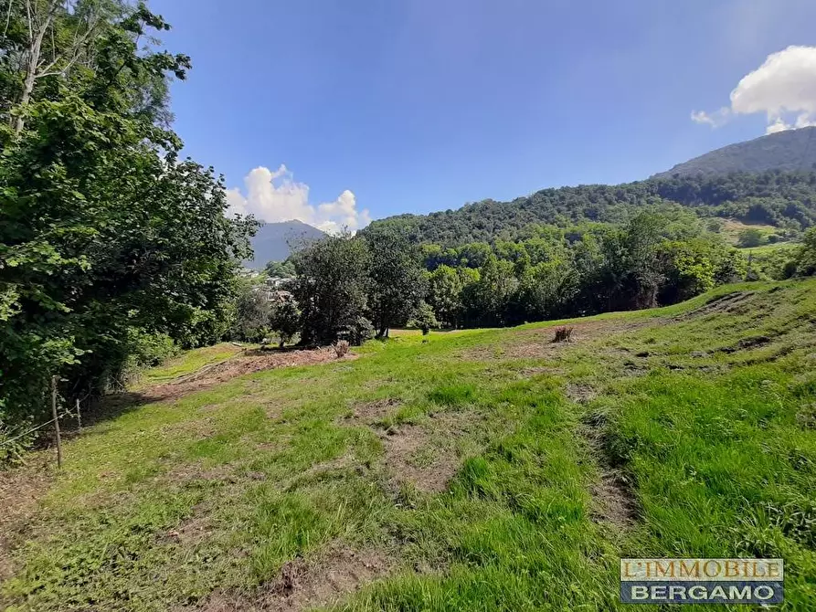 Immagine 12 di Terreno residenziale in vendita  in via S. Vincenzo a Pradalunga