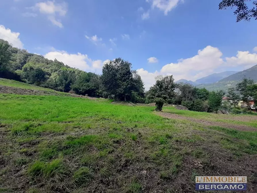 Immagine 13 di Terreno residenziale in vendita  in via S. Vincenzo a Pradalunga