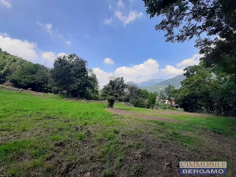 Immagine 14 di Terreno residenziale in vendita  in via S. Vincenzo a Pradalunga