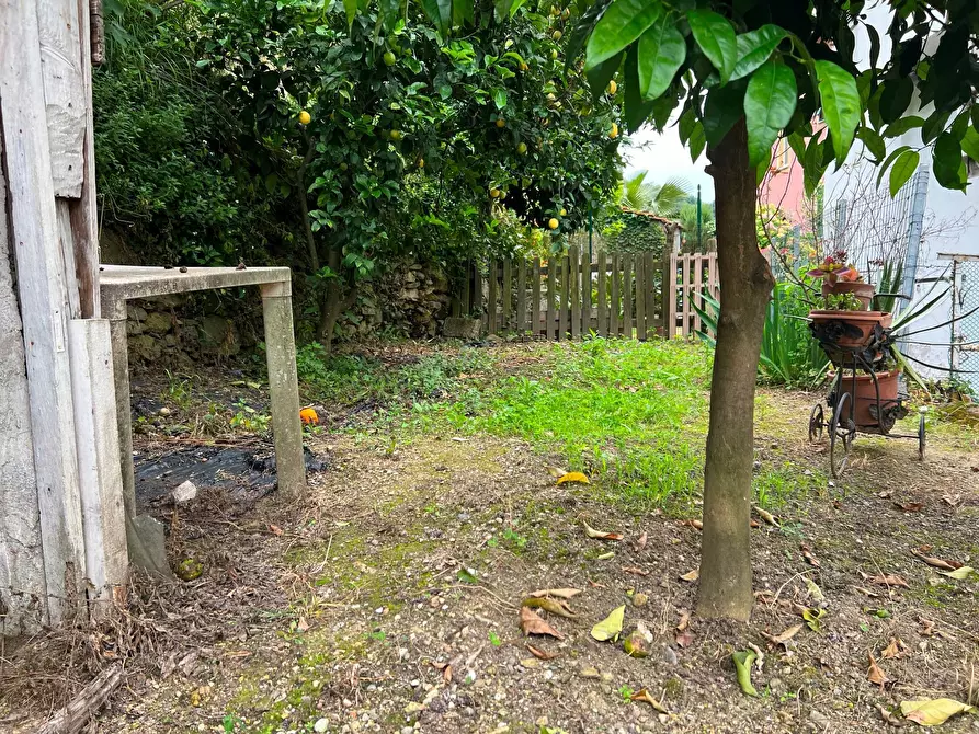 Immagine 2 di Appartamento in vendita  a Varazze