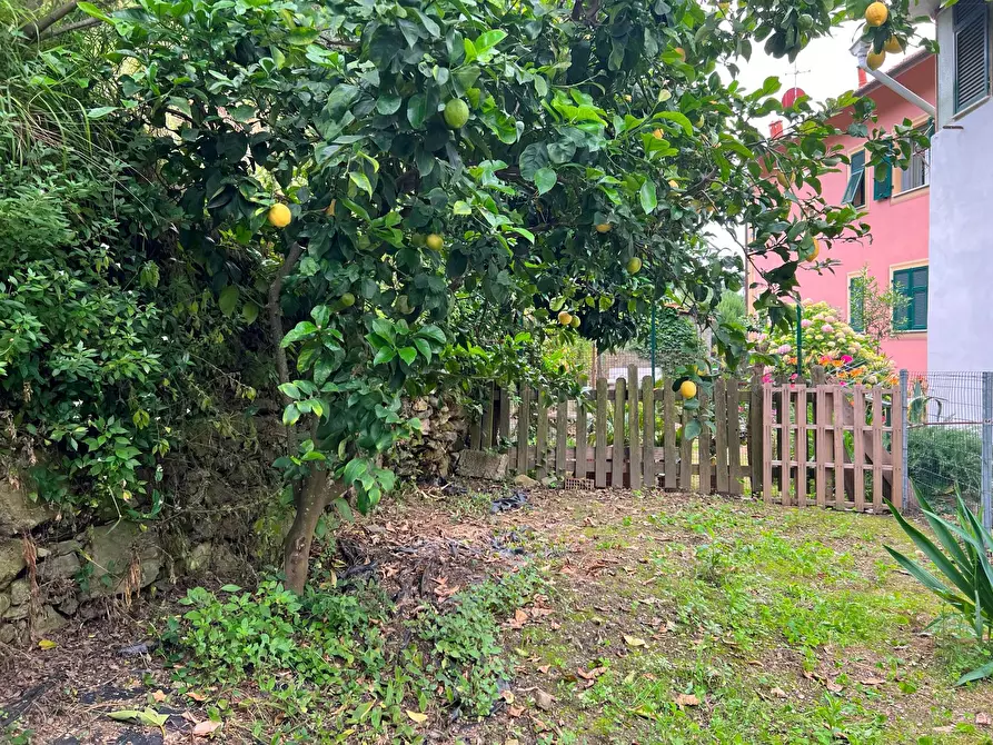 Immagine 3 di Appartamento in vendita  a Varazze