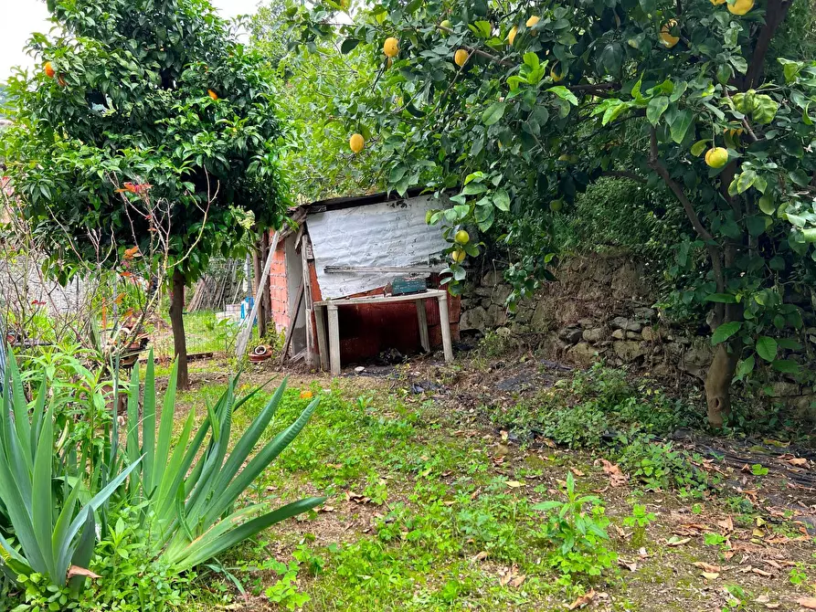 Immagine 4 di Appartamento in vendita  a Varazze