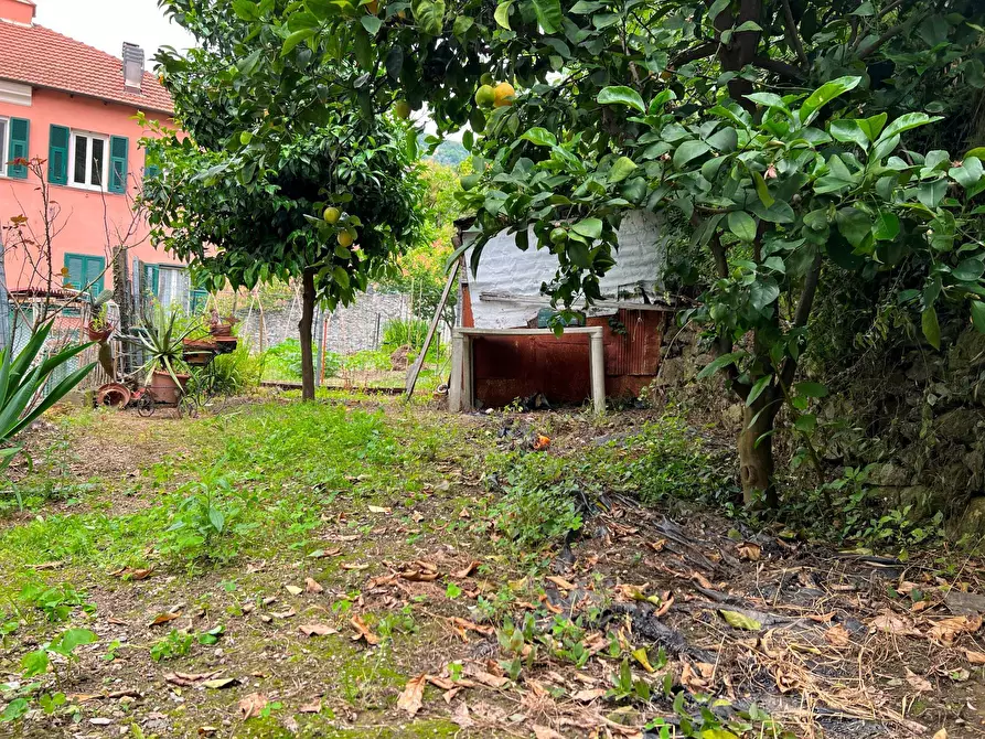 Immagine 19 di Appartamento in vendita  a Varazze