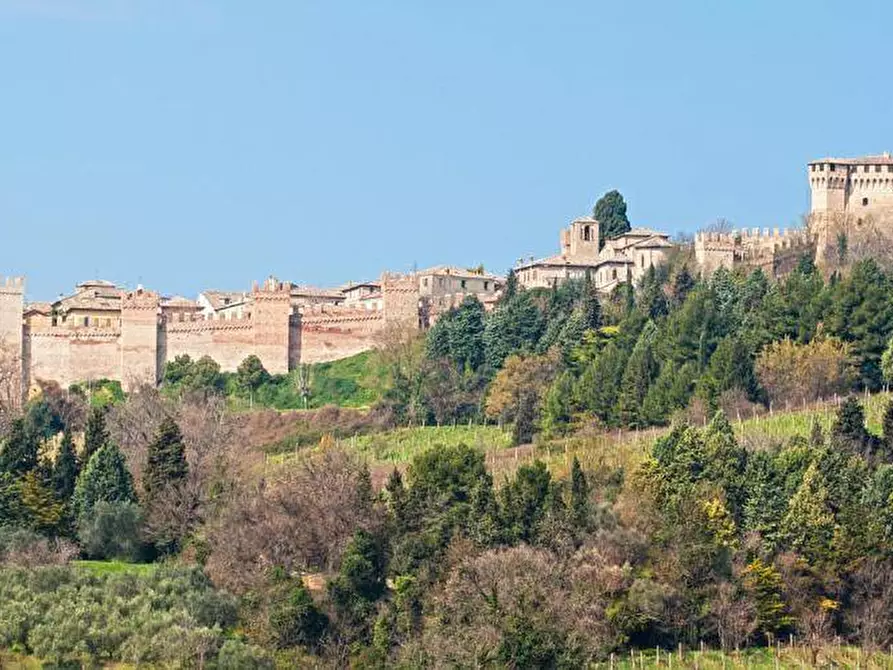 Immagine 20 di Albergo/B&B/Residence in vendita  in piazza V Novembre a Gradara