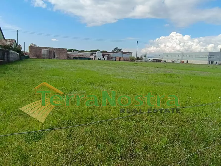 Immagine 5 di Terreno agricolo in vendita  a Cordenons