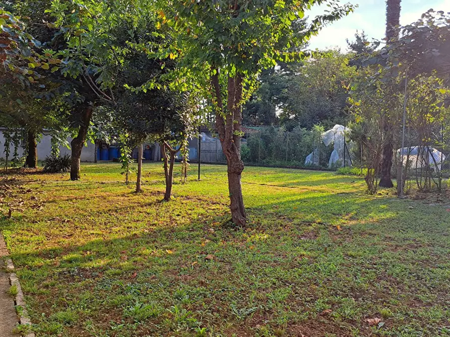 Immagine 3 di Casa indipendente in vendita  in Vicolo Consoli a Brembate