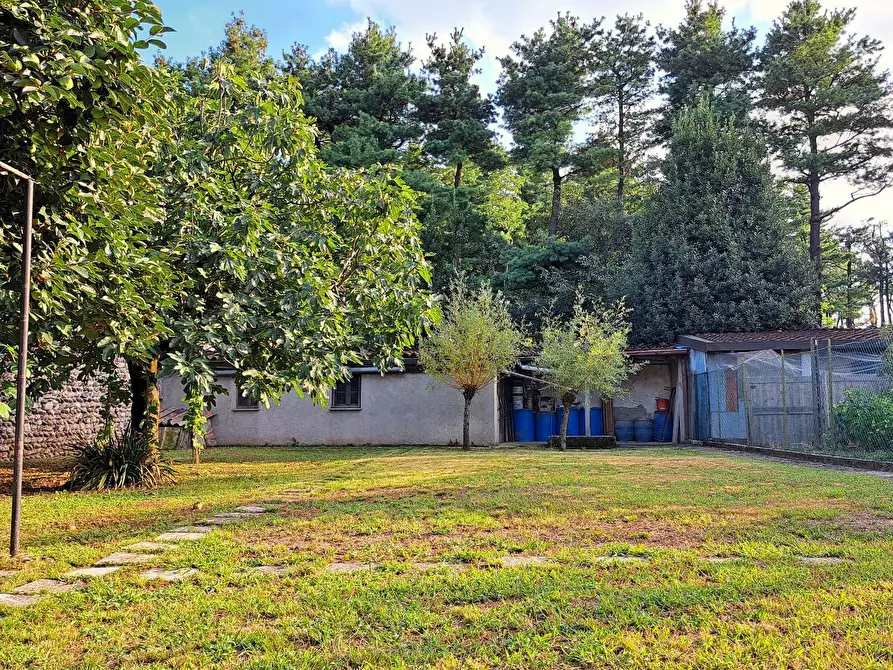 Immagine 4 di Casa indipendente in vendita  in Vicolo Consoli a Brembate