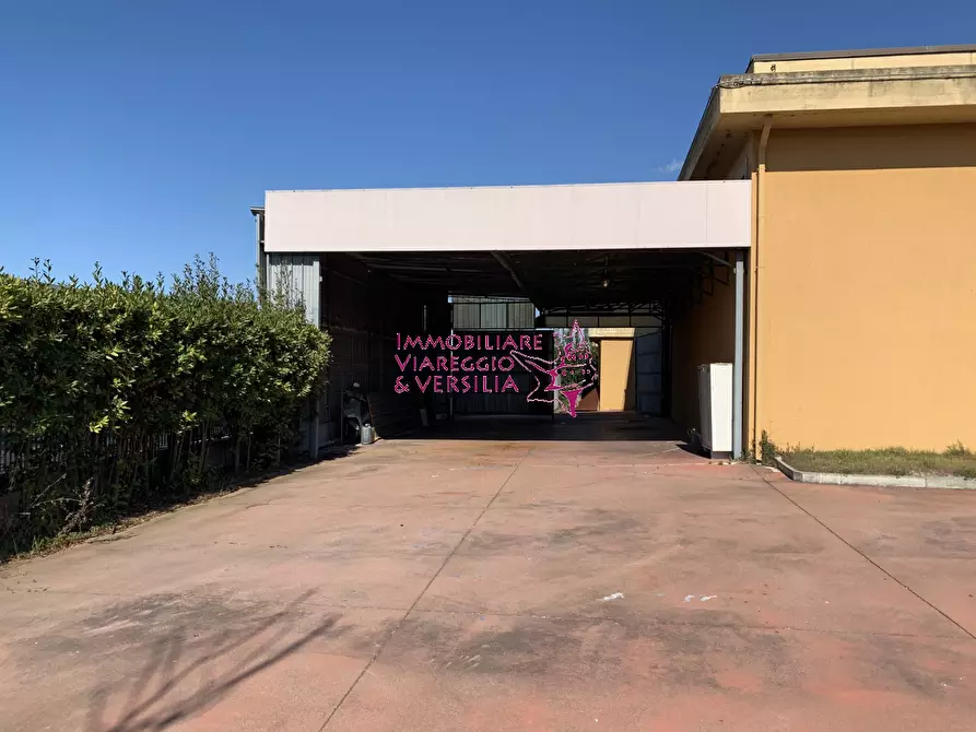 Immagine 2 di Magazzino in vendita  in via dei falegnami a Camaiore