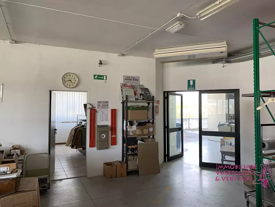 Immagine 4 di Magazzino in vendita  in via dell'oleificio a Massarosa