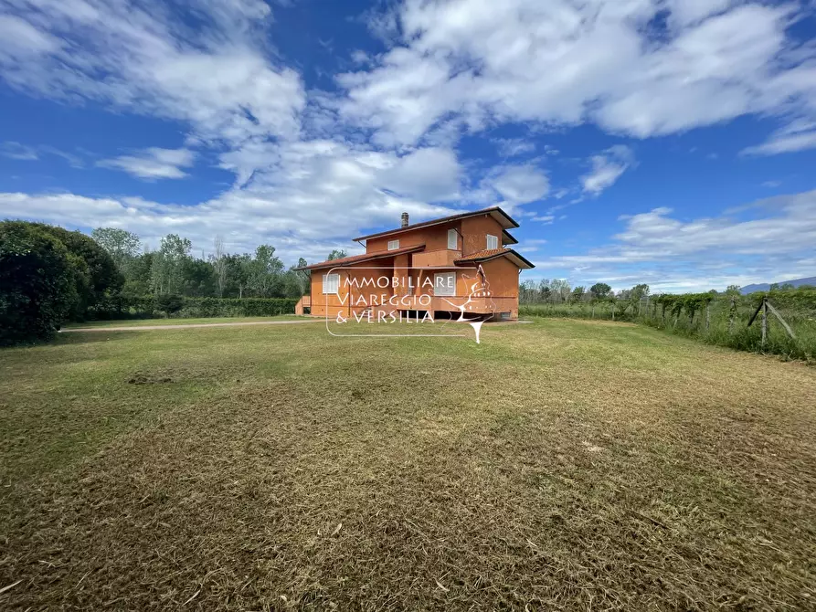 Immagine 30 di Villa in vendita  in via Sarzanese a Massarosa