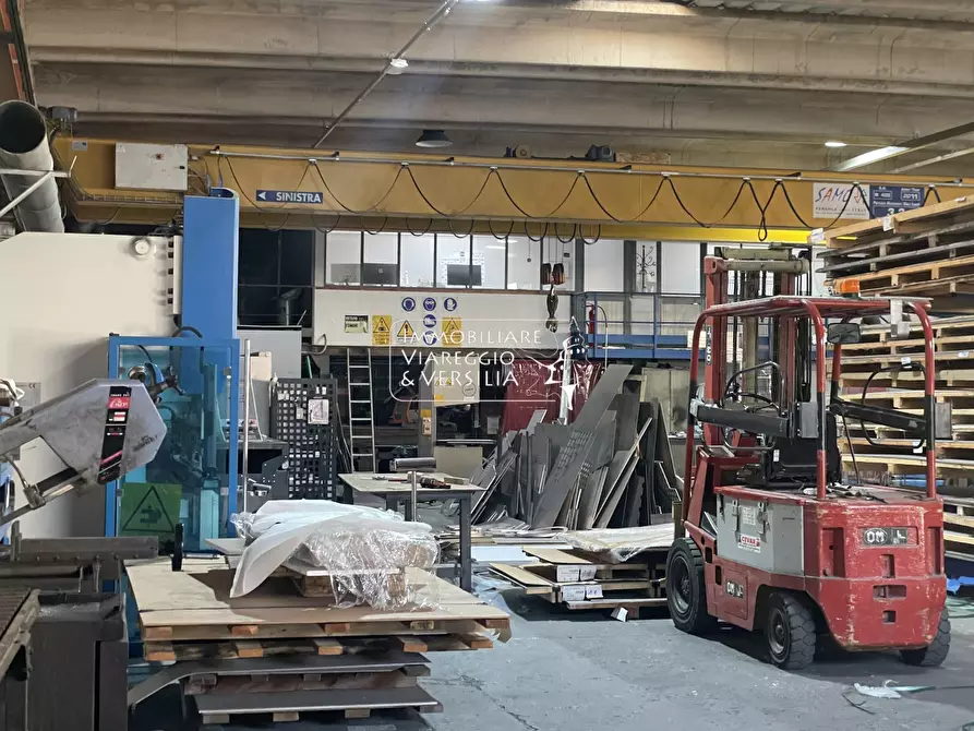 Immagine 5 di Magazzino in vendita  in via Peecchi a Viareggio
