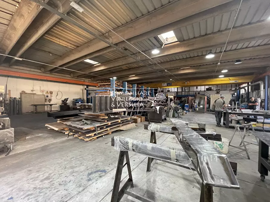 Immagine 2 di Magazzino in vendita  in via Peecchi a Viareggio