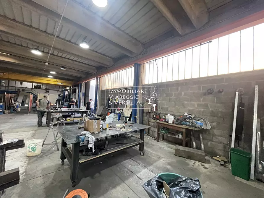 Immagine 6 di Magazzino in vendita  in via Peecchi a Viareggio