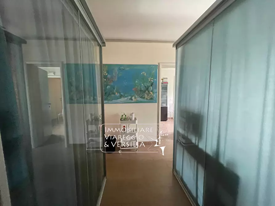 Immagine 20 di Capannone industriale in vendita  in Via S. Francesco a Viareggio