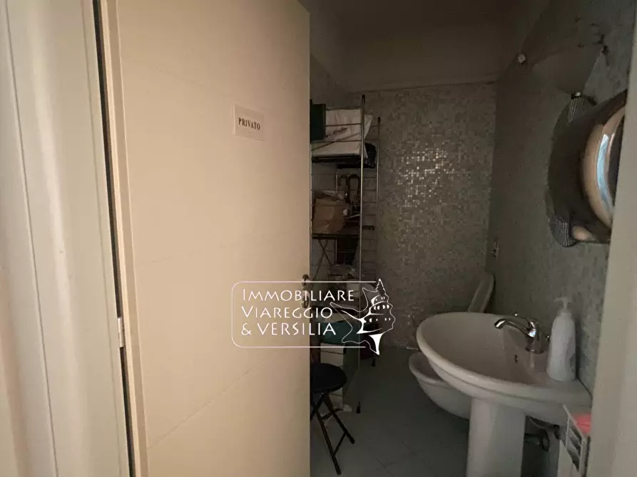 Immagine 21 di Capannone industriale in vendita  in Via S. Francesco a Viareggio