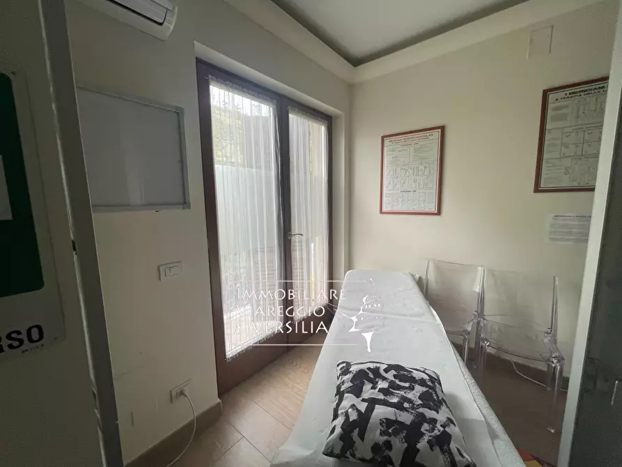 Immagine 22 di Capannone industriale in vendita  in Via S. Francesco a Viareggio