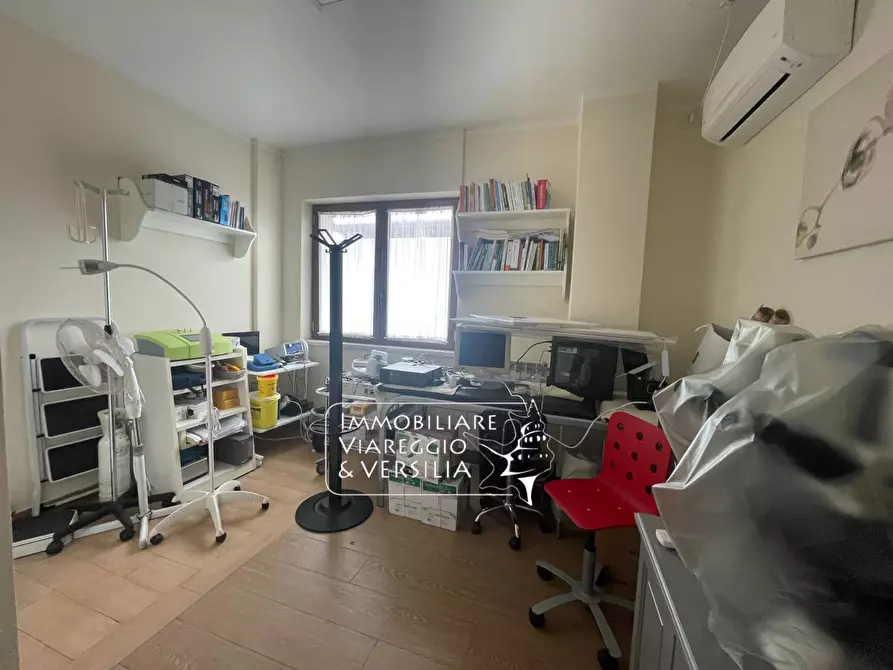 Immagine 25 di Capannone industriale in vendita  in Via S. Francesco a Viareggio