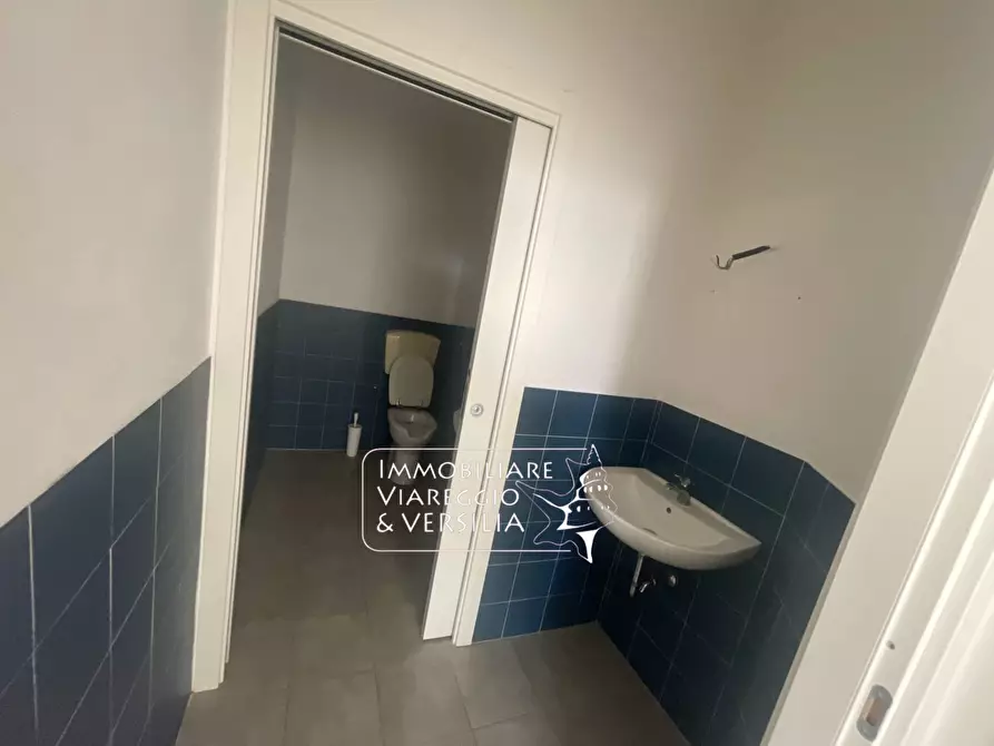 Immagine 12 di Capannone industriale in affitto  in via di Montramito a Viareggio