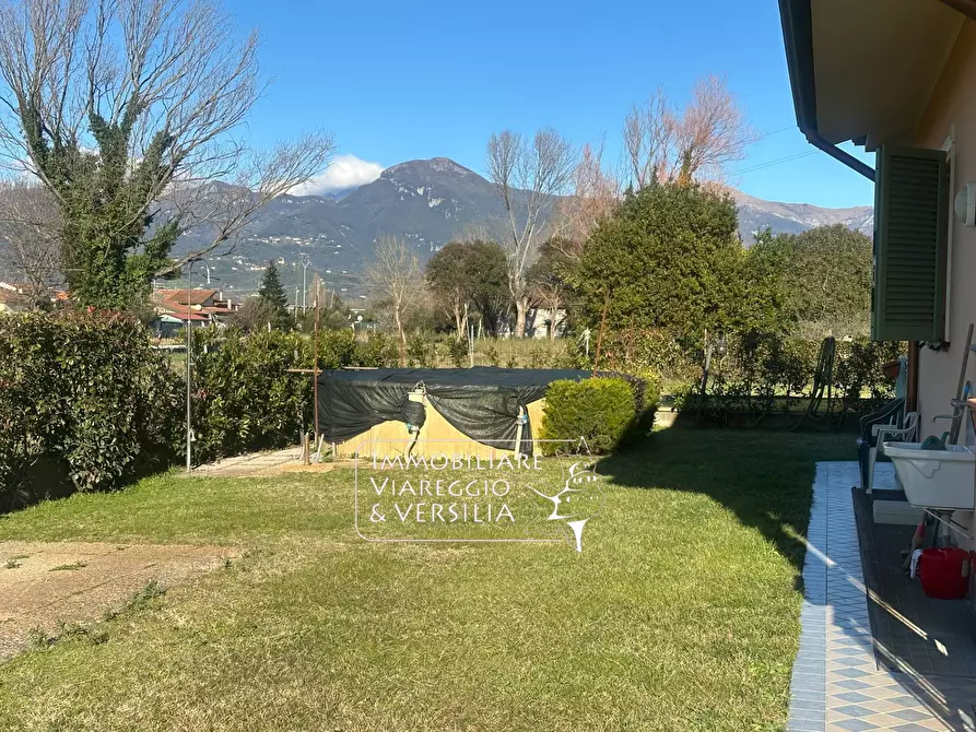 Immagine 6 di Villa in vendita  in via Consorziale a Viareggio