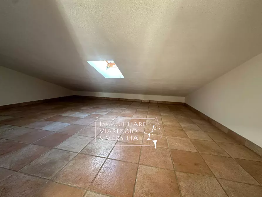 Immagine 28 di Villa in vendita  in via Consorziale a Viareggio