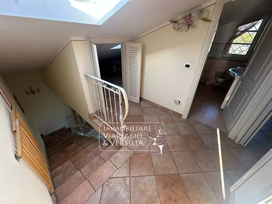 Immagine 29 di Villa in vendita  in via Consorziale a Viareggio