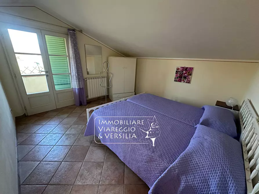 Immagine 30 di Villa in vendita  in via Consorziale a Viareggio