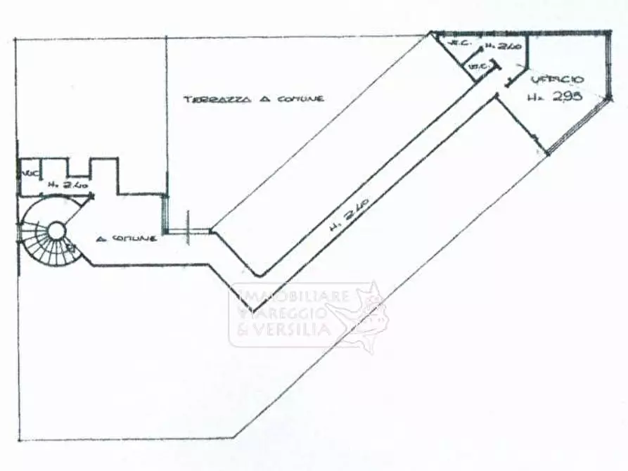 Immagine 7 di Capannone industriale in vendita  in via della Vetraia a Viareggio
