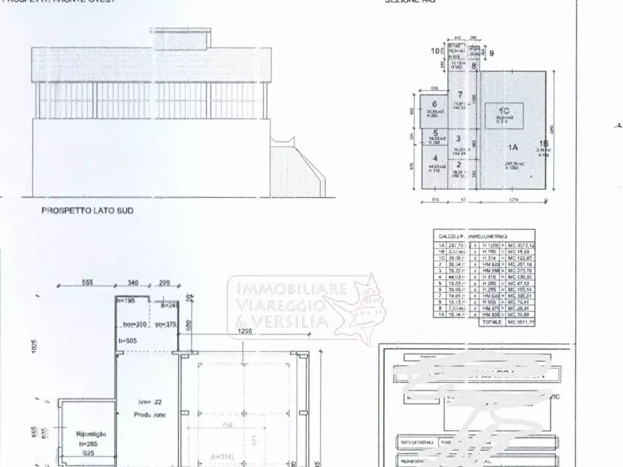 Immagine 2 di Magazzino in vendita  in via delle Cannelle a Massarosa