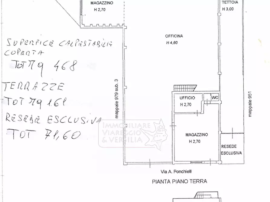 Immagine 5 di Magazzino in vendita  in via della Circonvallazione a Viareggio